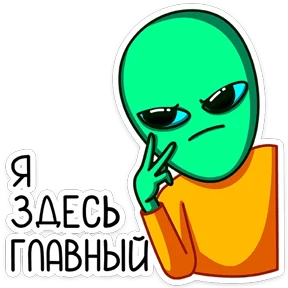 Пикл №17