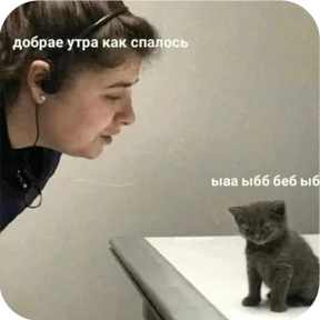 Котопак №3