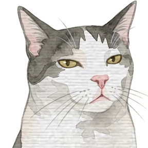 Мемные котики №11