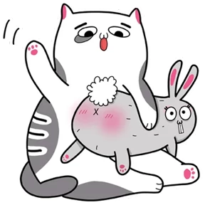 Котэ №16