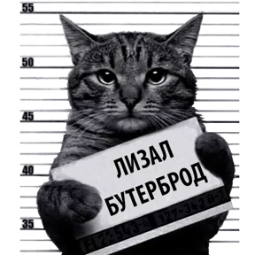 Кот-рецидивист №18