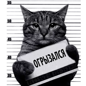 Кот-рецидивист №22
