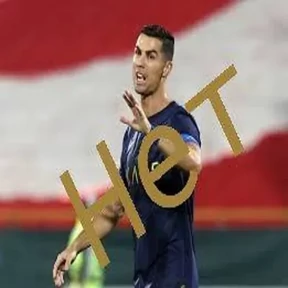 Португалец №4