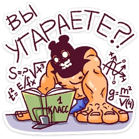 Папа медведь №23
