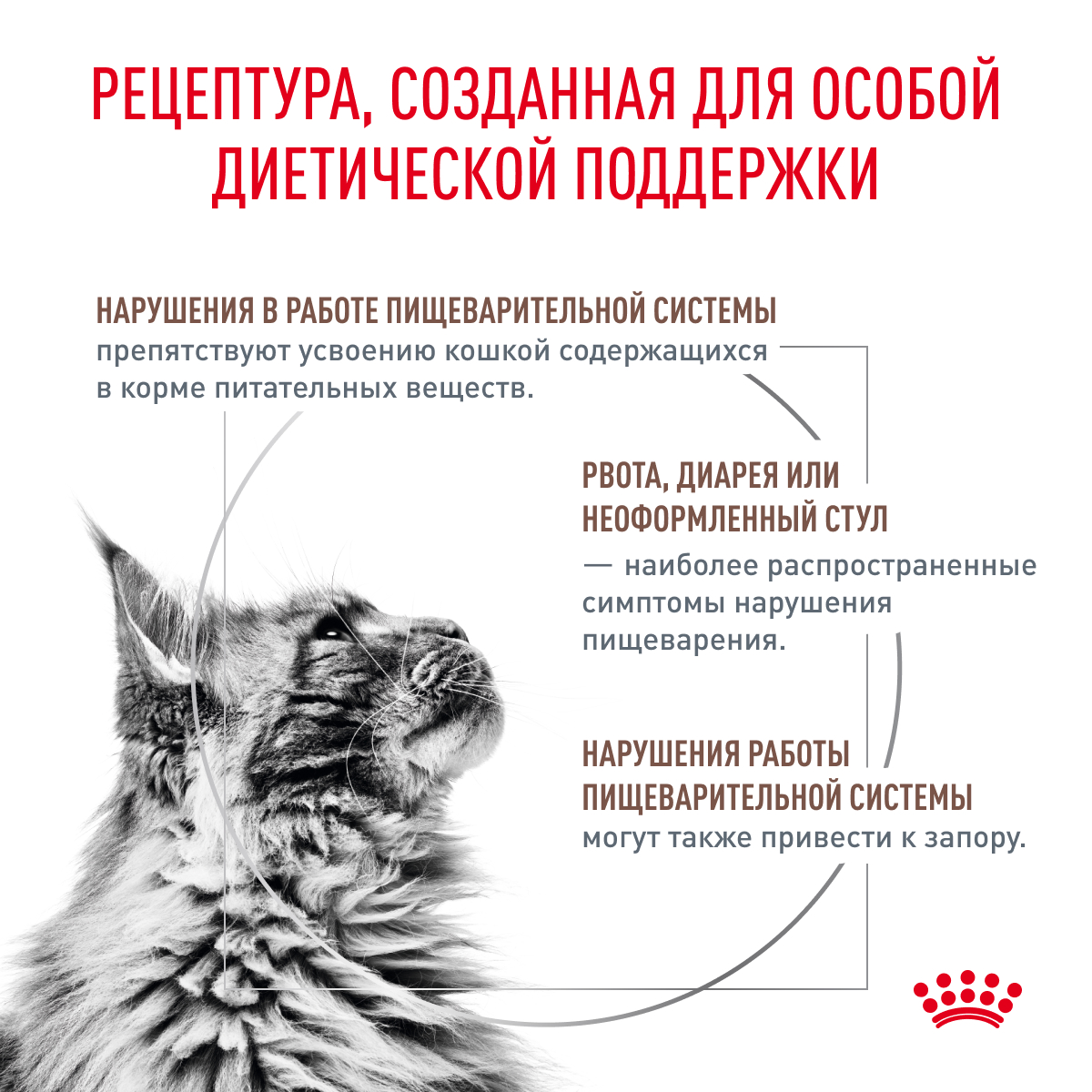 Royal Canin Онлайн-магазин