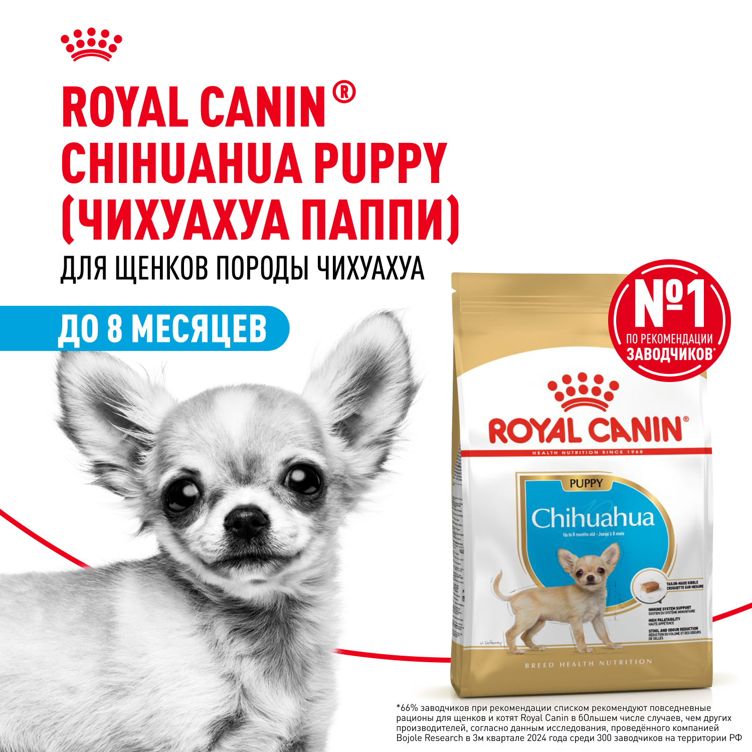 Купить сухой корм Royal Canin для щенков чихуахуа Chihuahua Puppy