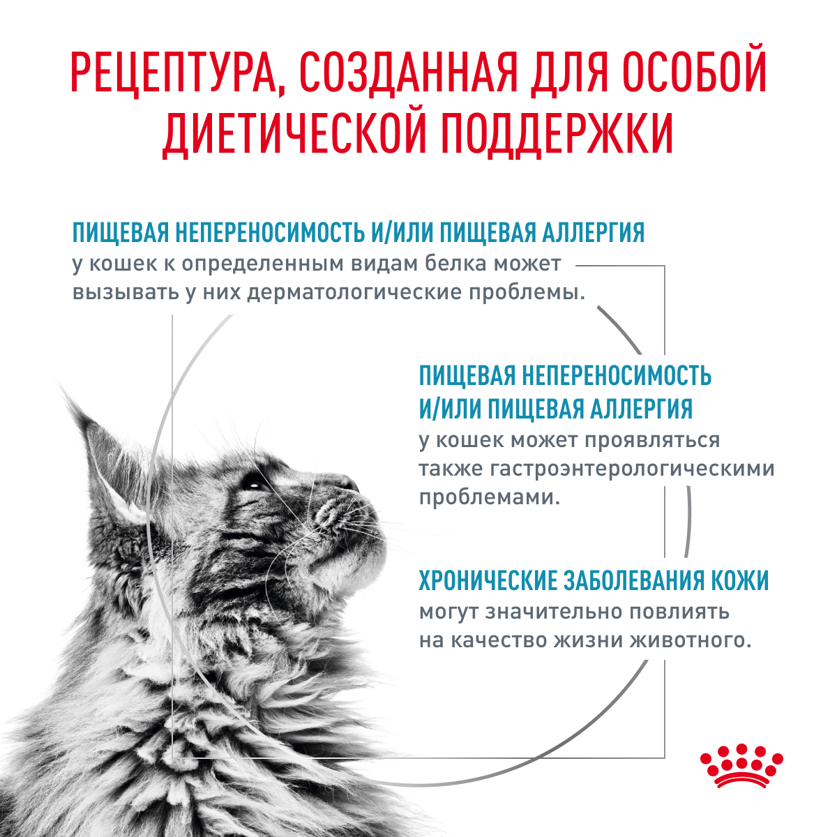 Royal Canin Онлайн-магазин