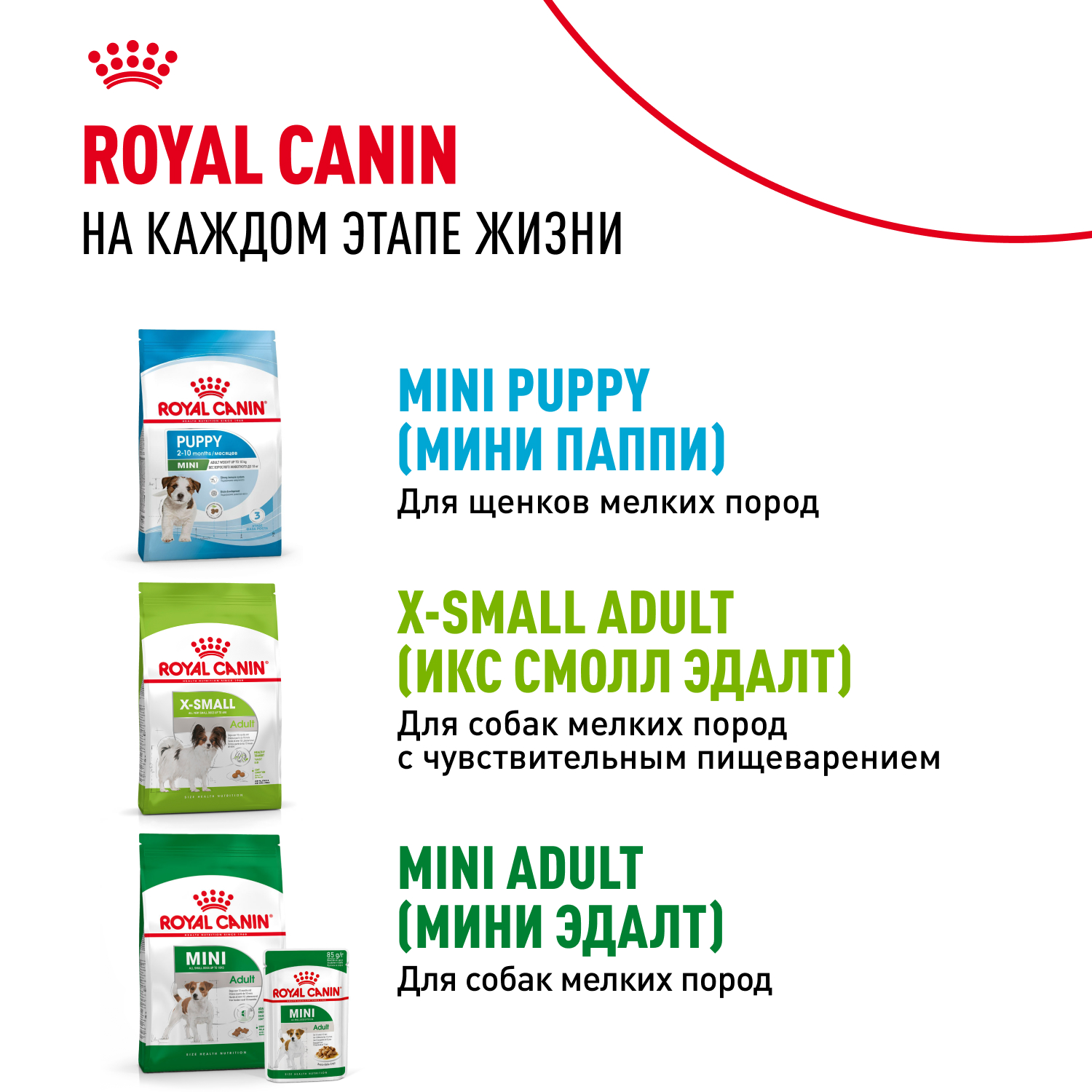 Купить сухой корм Royal Canin для щенков X-Small Puppy в