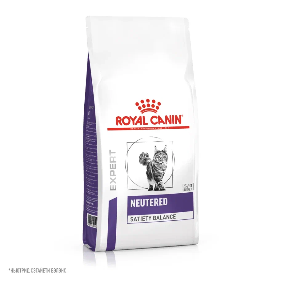 Buy royal canin renal cat food online hotsell