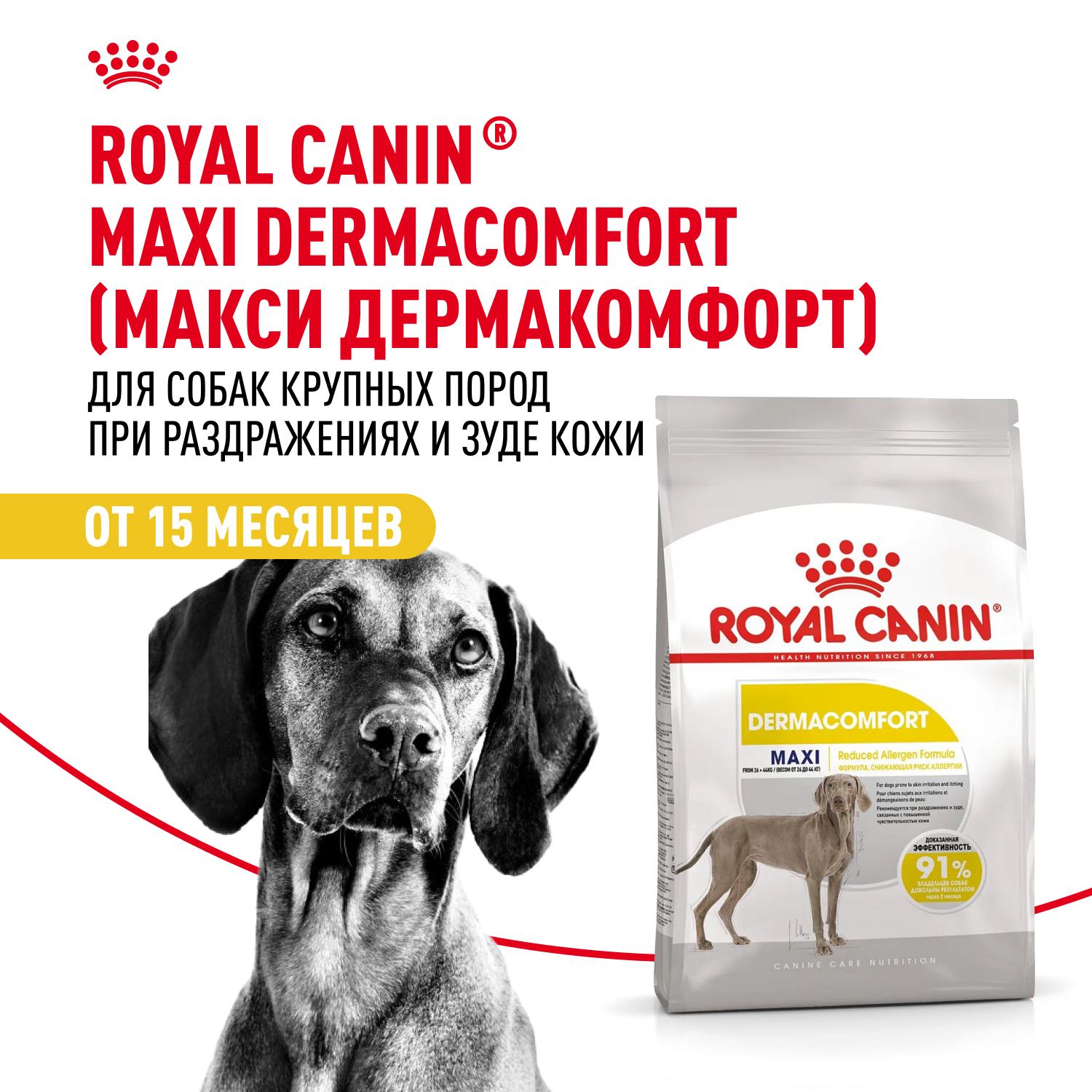 Canin Medium Royal Canin Dermacomfort Dog Food Royal Canin Medium