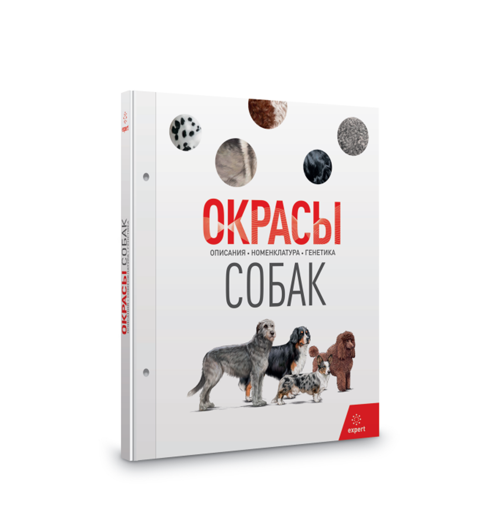 Окрасы собак. Описания. Номенклатура. Генетика