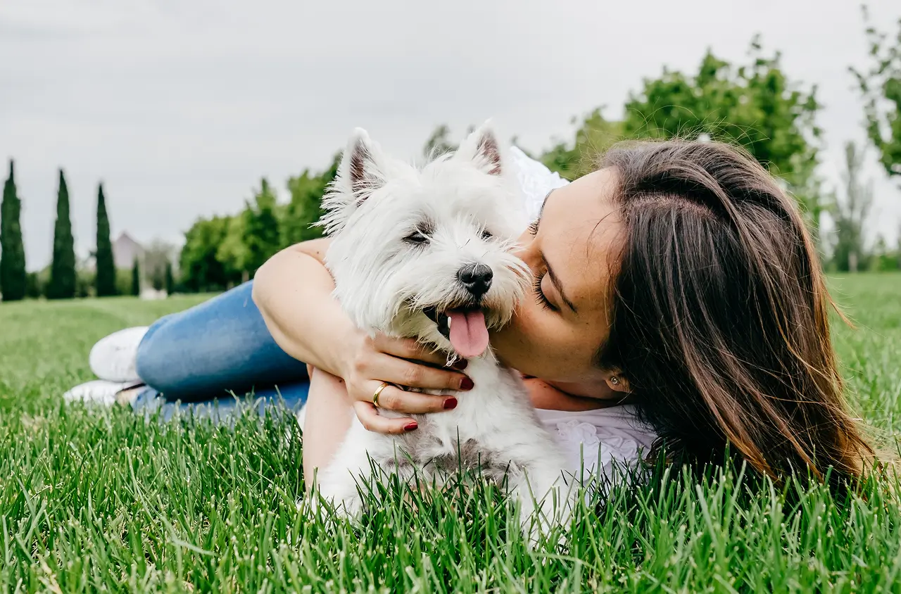 dog image