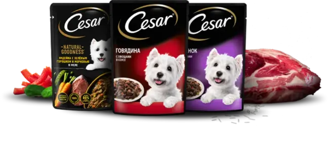 Почему CESAR