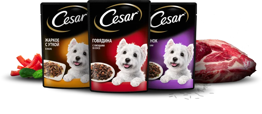 Рецепты CESAR<sup>®</sup> для вашего любимца