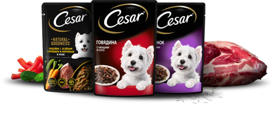 Почему CESAR