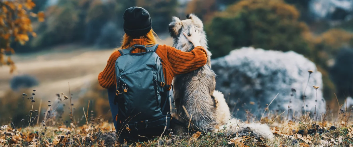 Походы с собаками