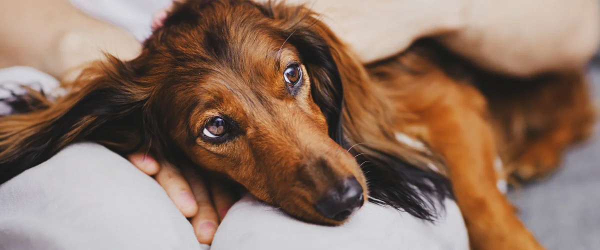 Первая помощь при обезвоживании