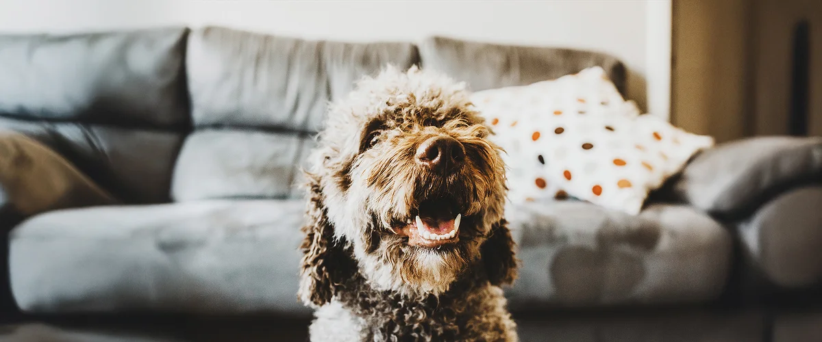 Повреждение зубов костями