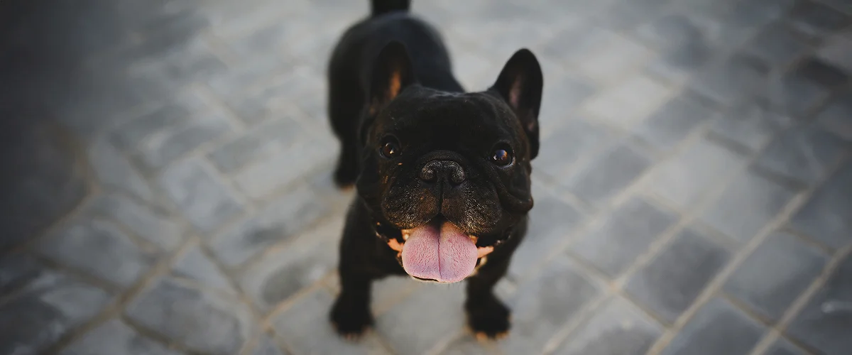 Что такое обезвоживание?