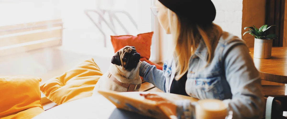 Дог-френдли кафе