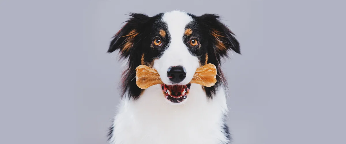 Лакомства для собак