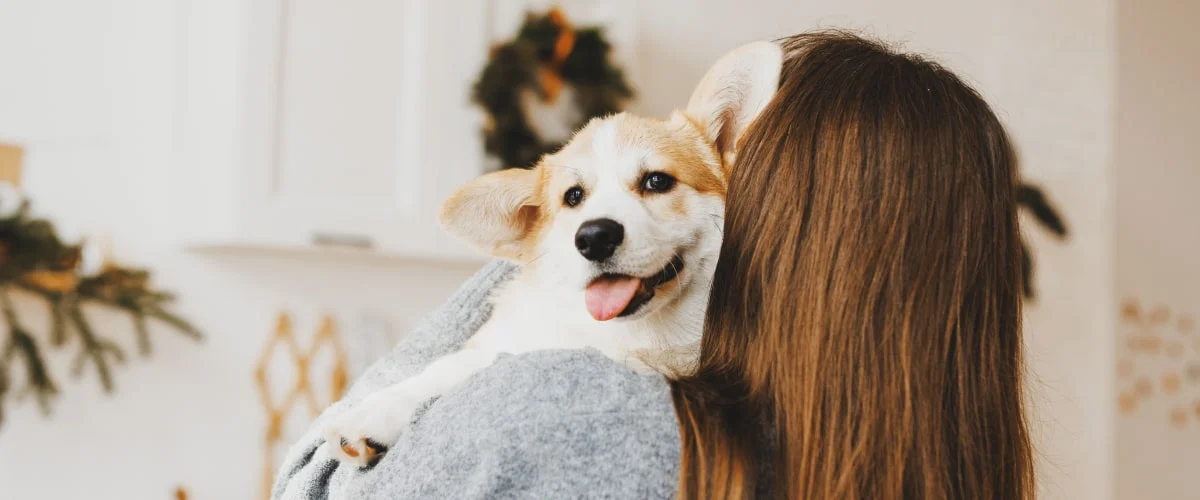 Гостиницы для путешествий с собакой