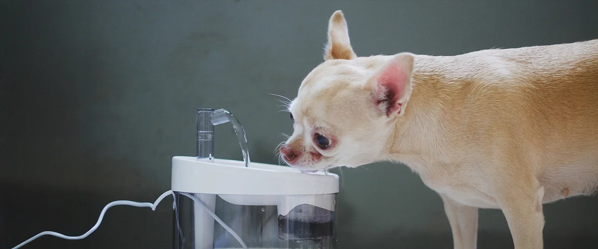 Доступ к чистой воде