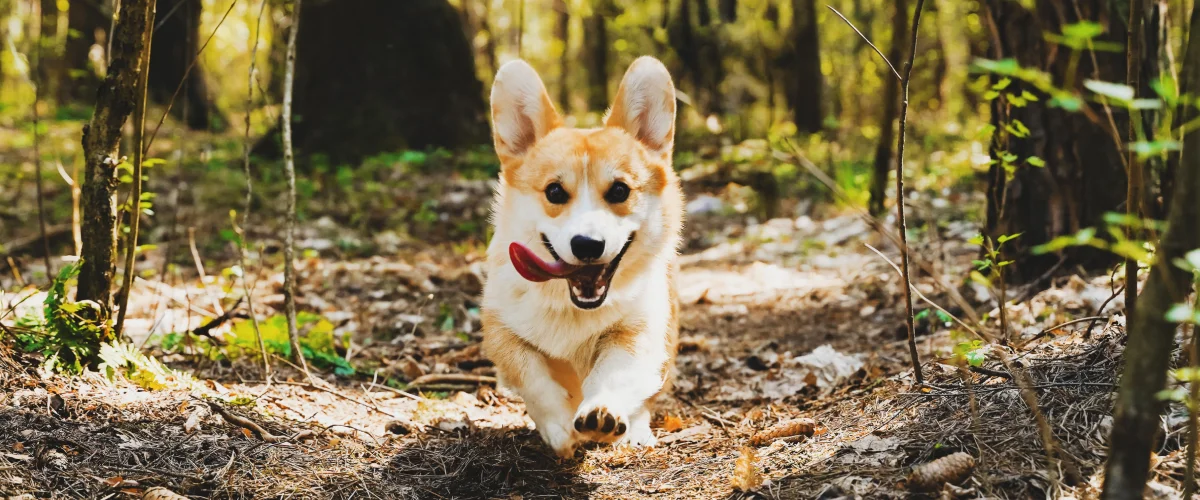 Самостоятельные путешествия