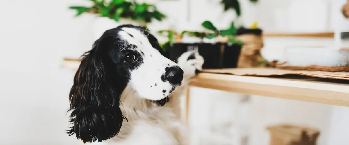 Рекомендации по точному определению возраста