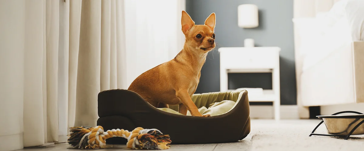 Необходимые с собой вещи