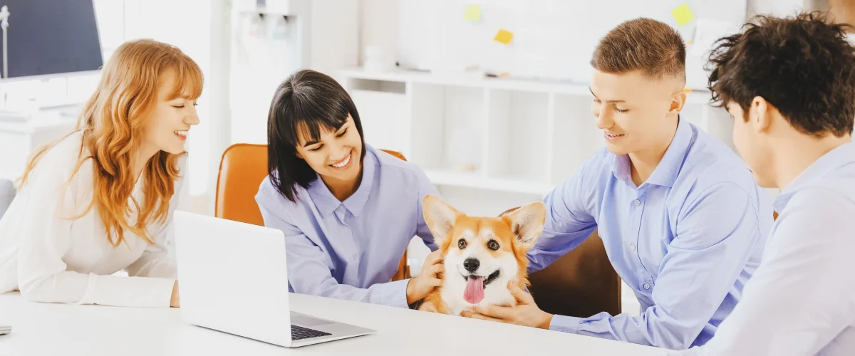 Преимущества и недостатки работы с собакой в офисе