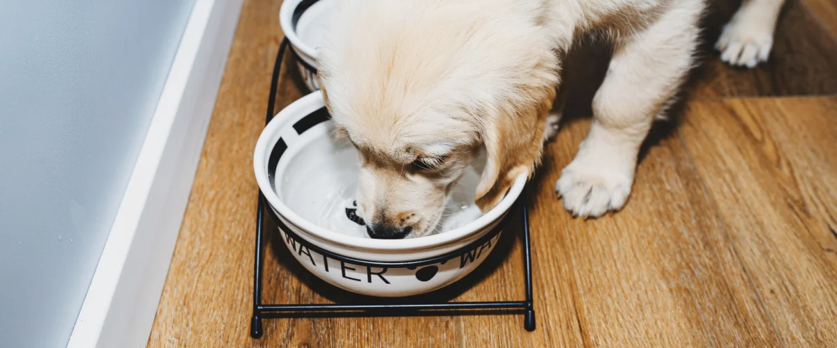 Контроль за потребляемой водой