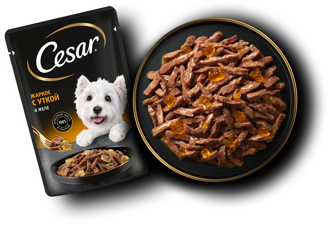 Упаковка: CESAR — CESAR® Кусочки в желе Жаркое с уткой в желе