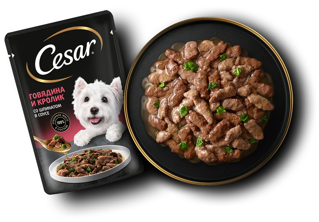 Упаковка: CESAR — CESAR® Кусочки в соусе Говядина и кролик со шпинатом в соусе