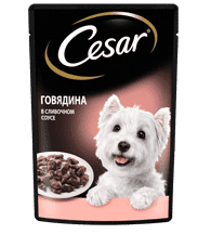 Влажный корм CESAR®  с говядиной в изысканном сливочном соусе