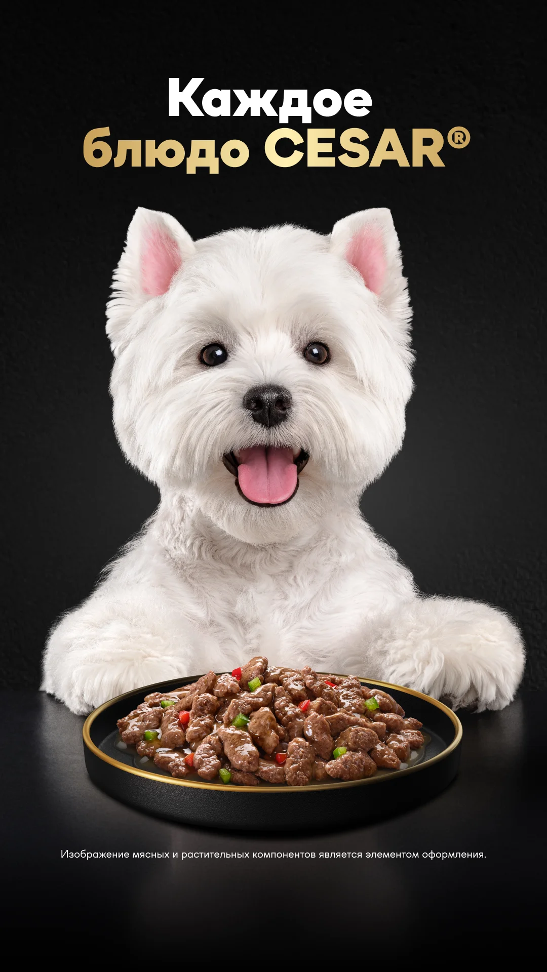 Фото слайда