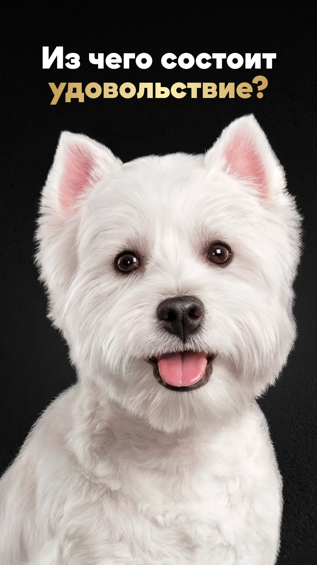 Фото слайда