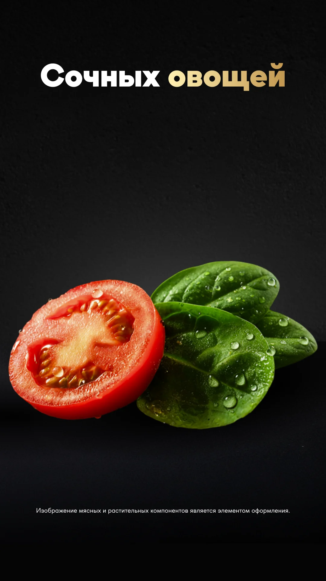 Фото слайда