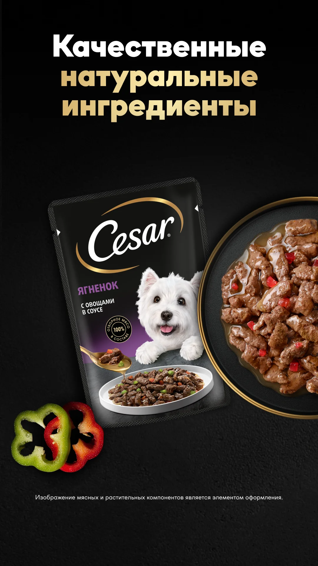 Фото слайда