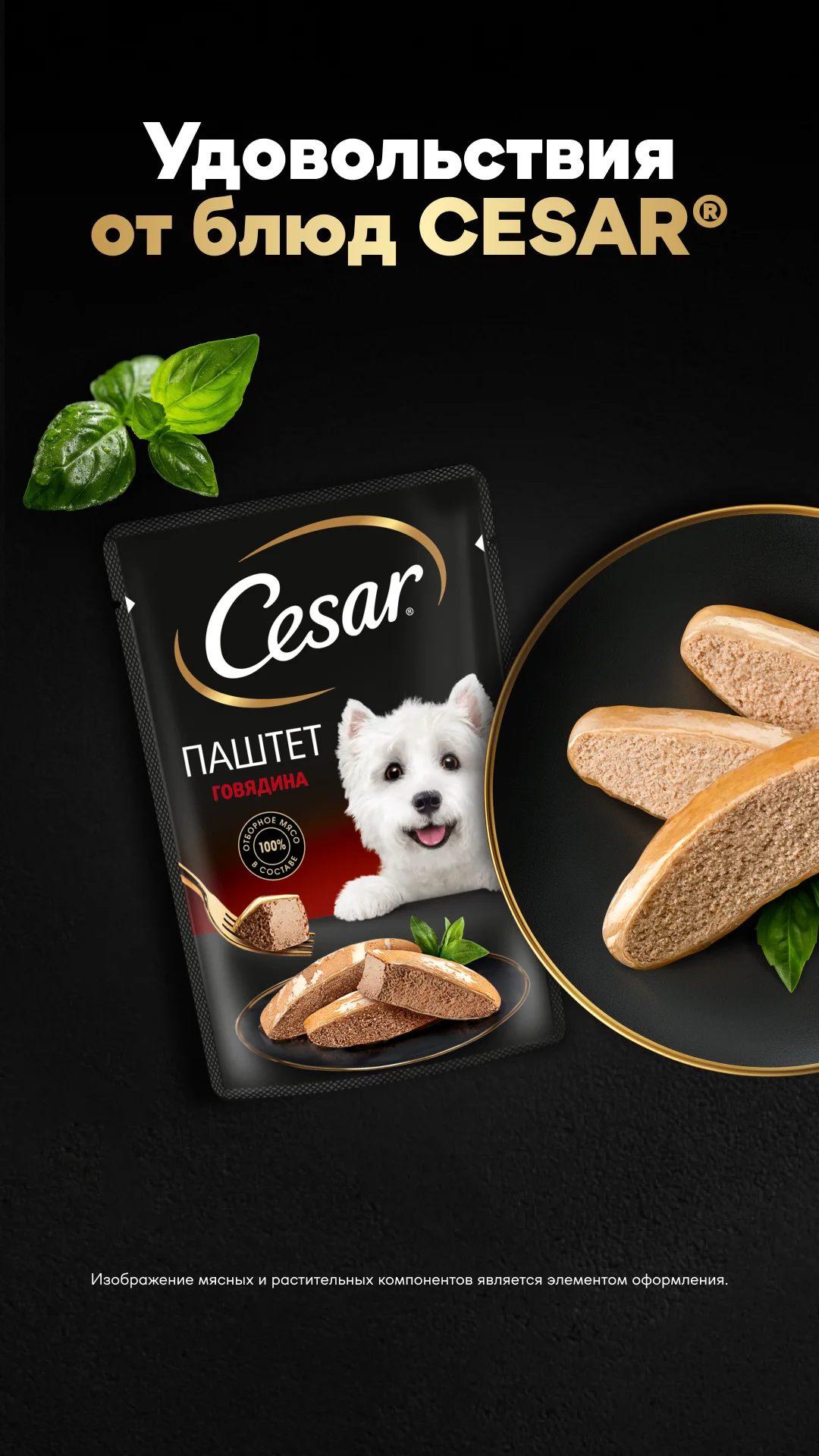 Фото слайда