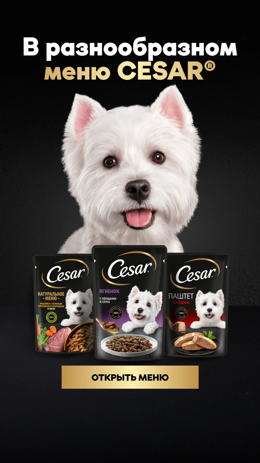 Фото слайда