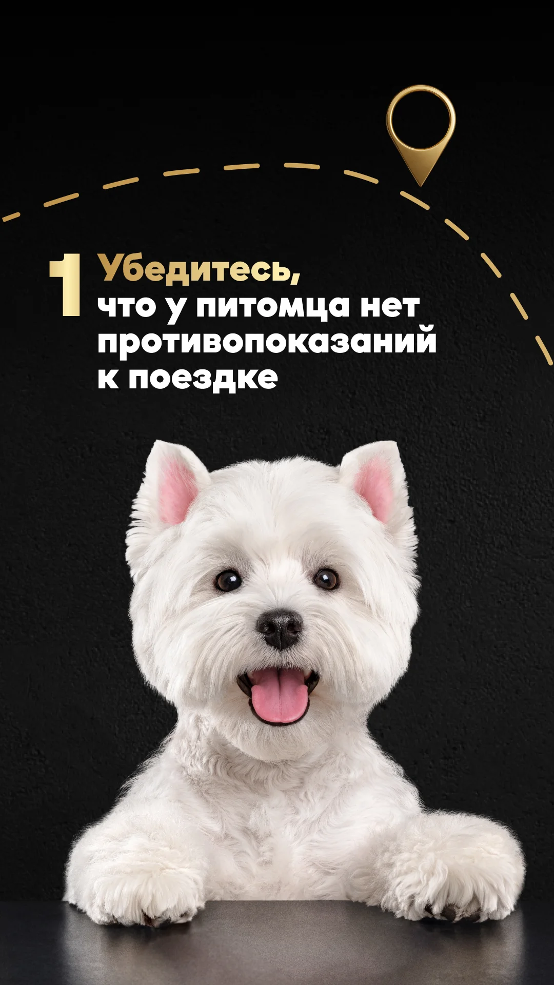 Фото слайда