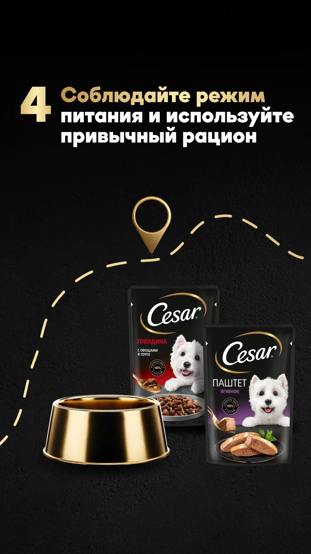 Фото слайда