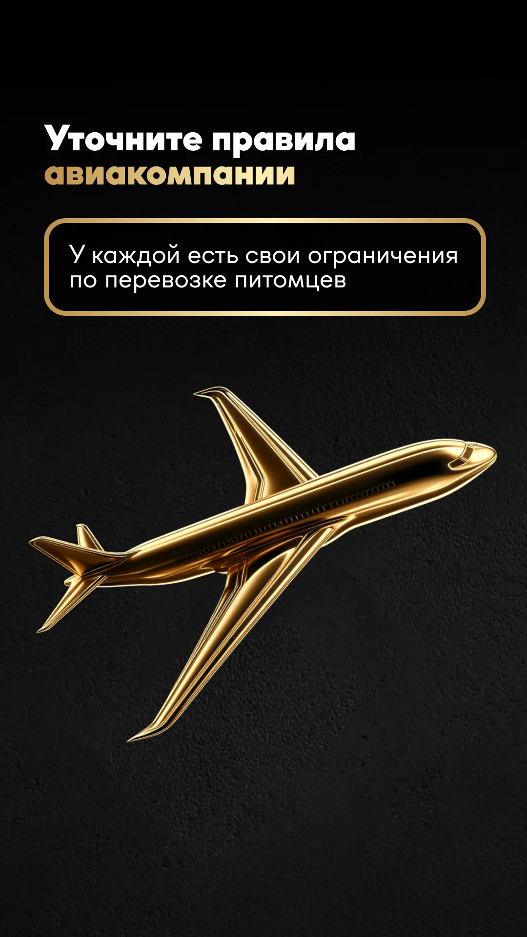 Фото слайда