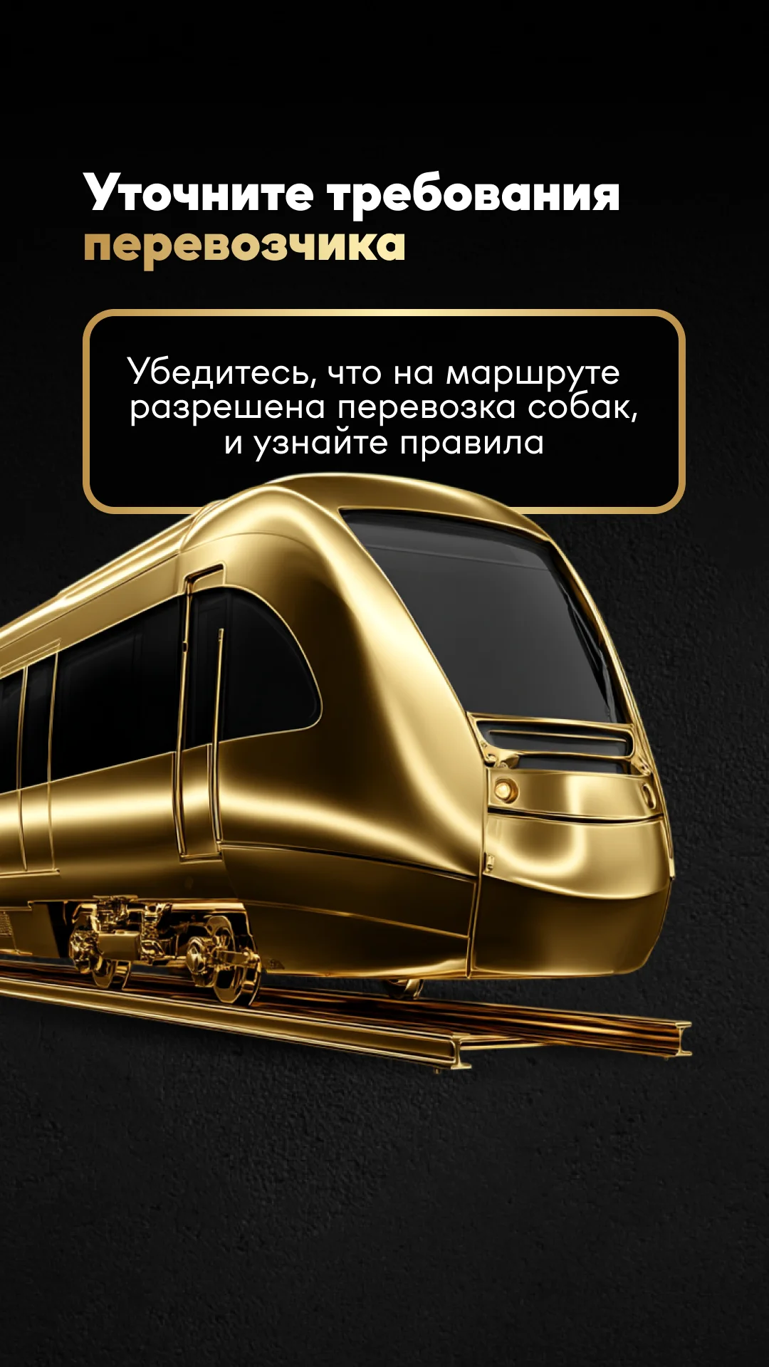 Фото слайда