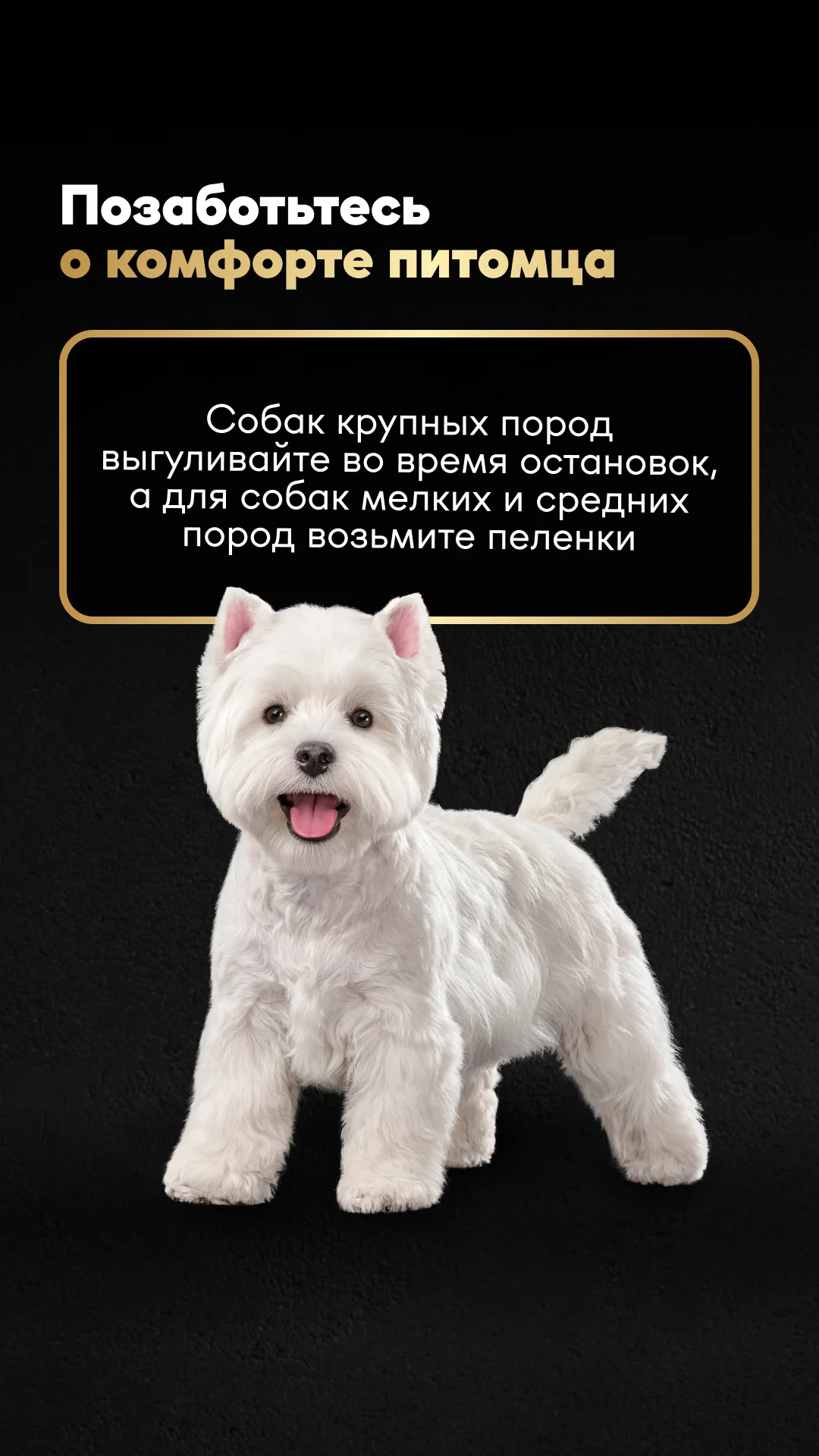 Фото слайда