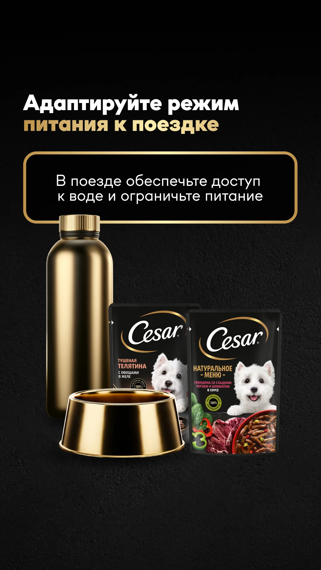 Фото слайда