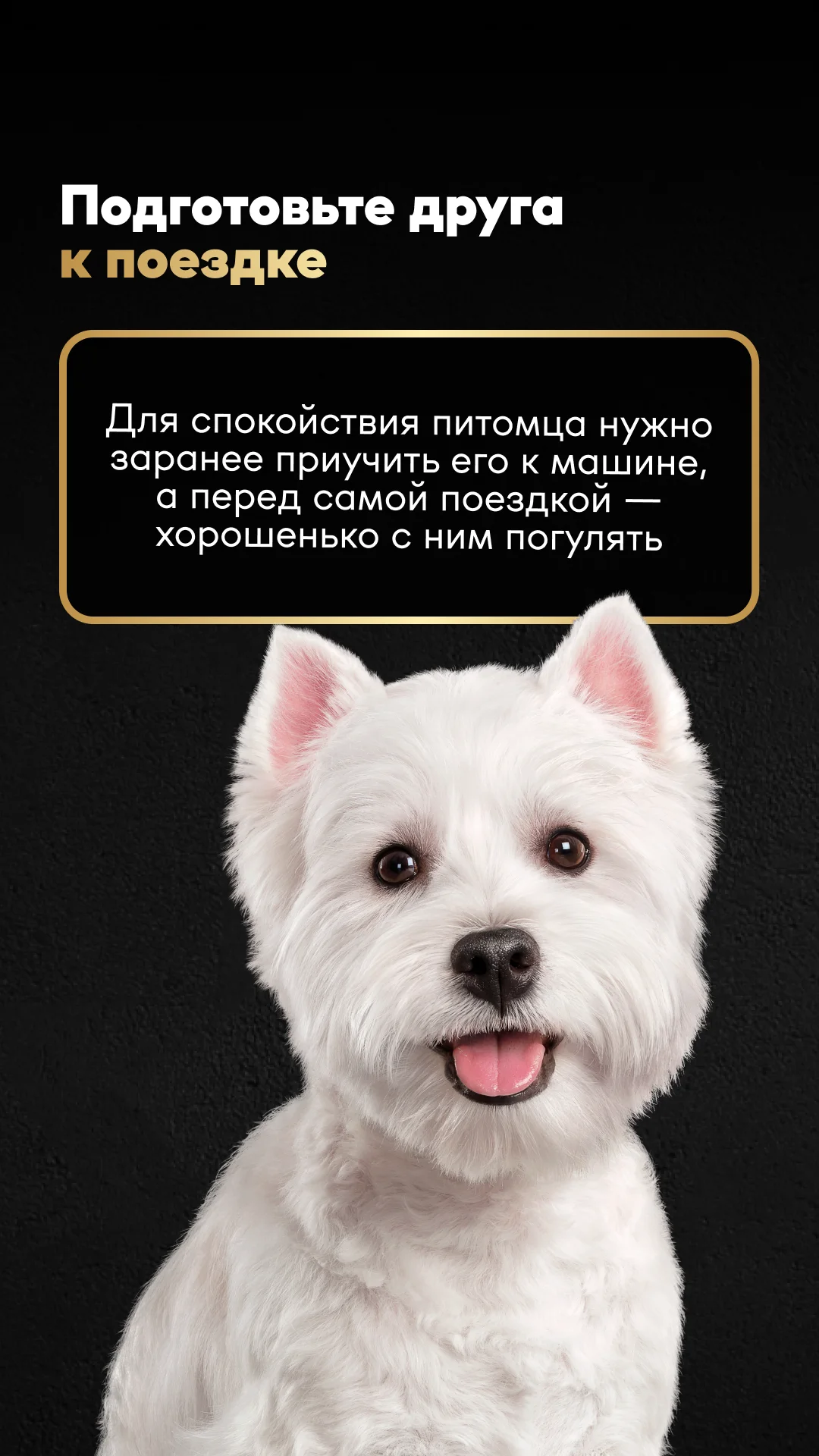 Фото слайда