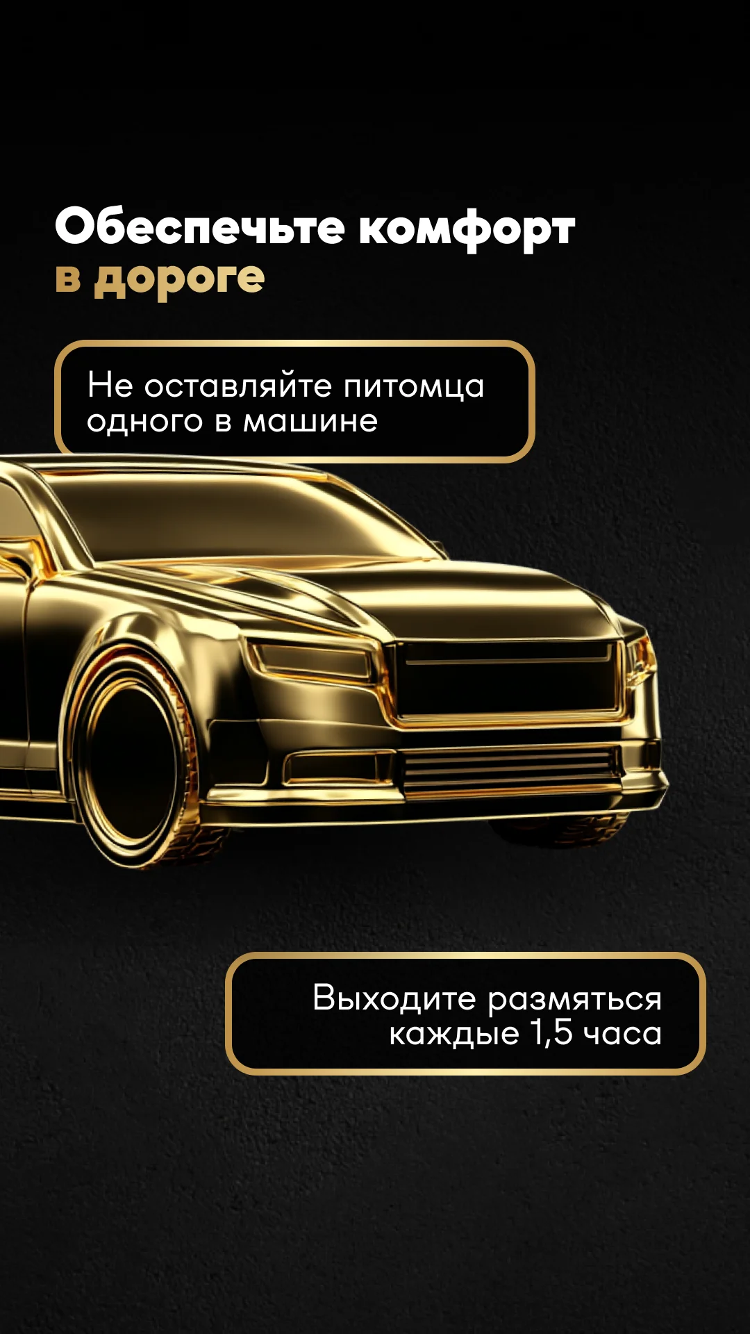 Фото слайда