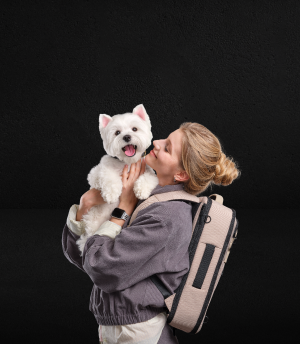 изображение истории